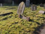 image of grave number 725146